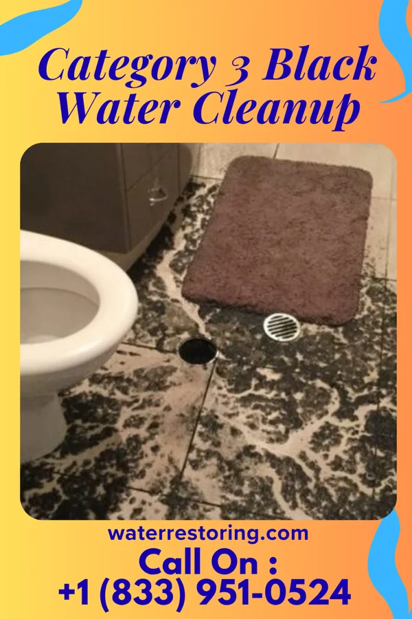 Category 3 Black Water Cleanup in Thompsonville, CT